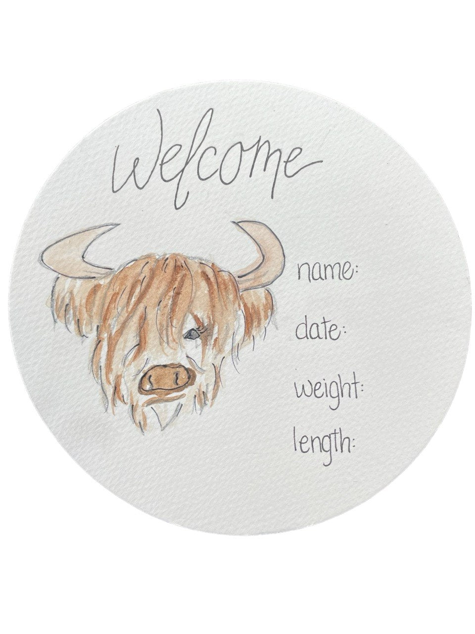 Hand Drawn Birth Stat “Baby Highlander”