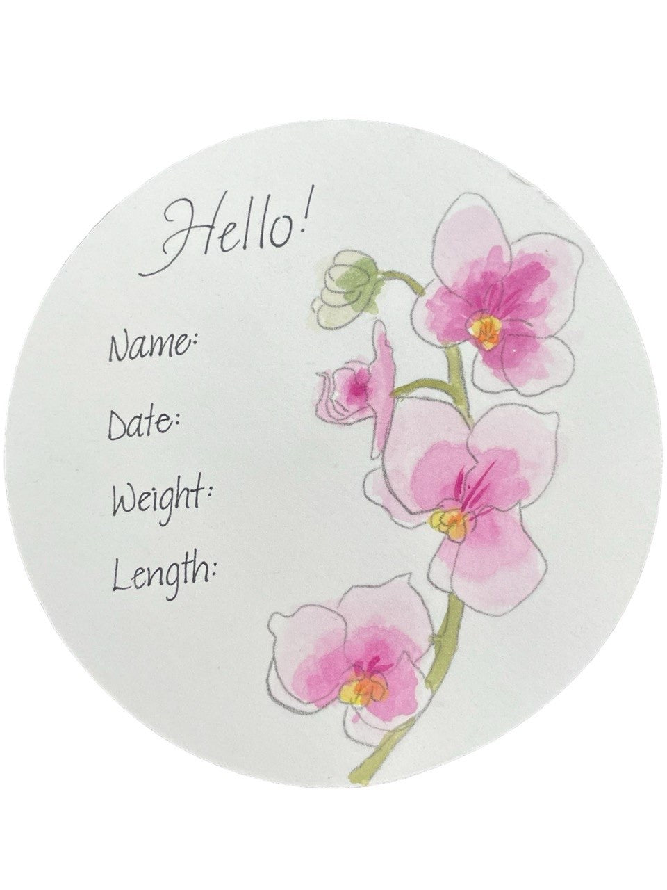 Hand Drawn Birth Stat “Orchid”