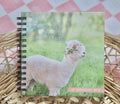 Llama Autograph book