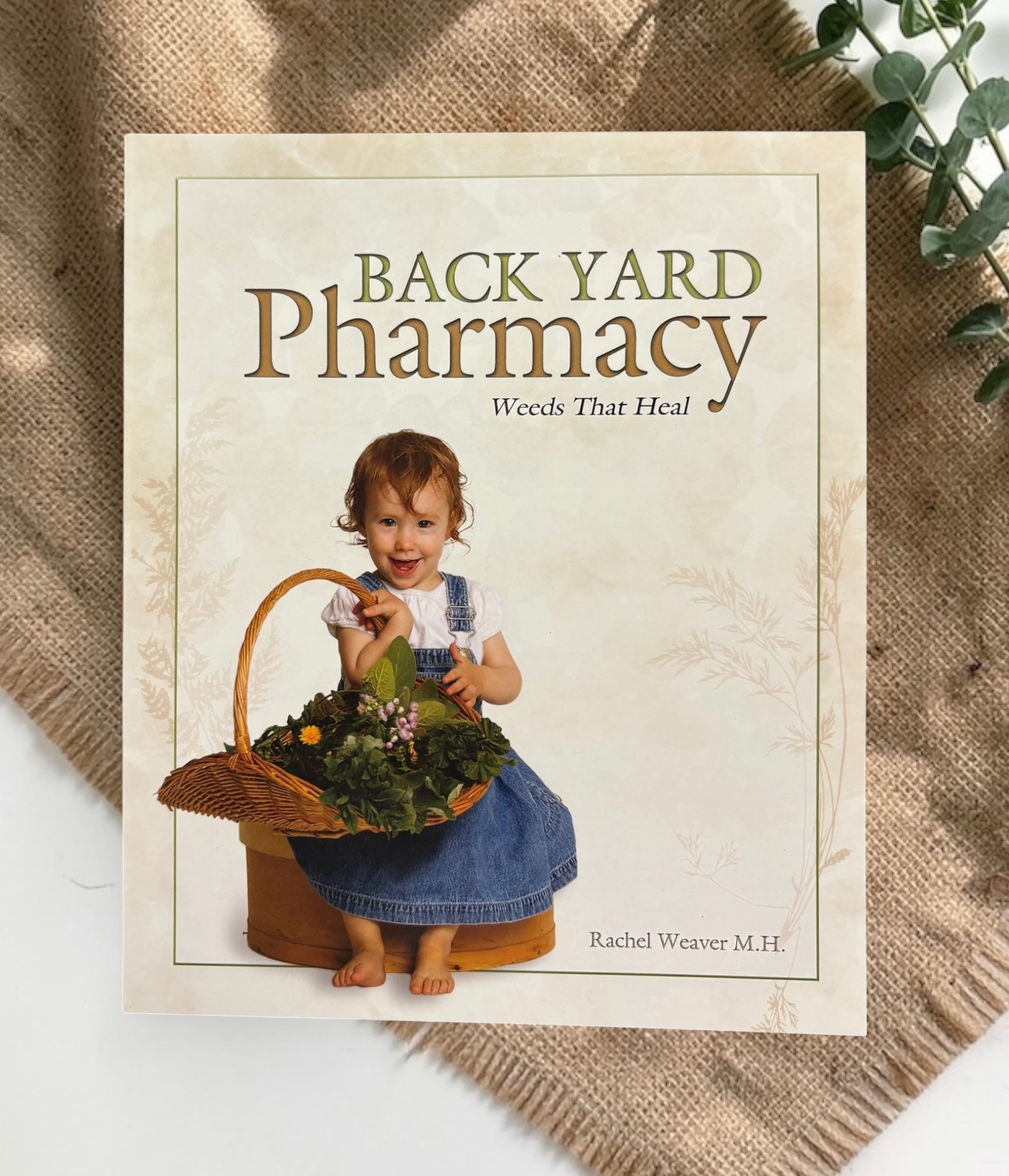 Backyard Pharmacy – weeds that heal