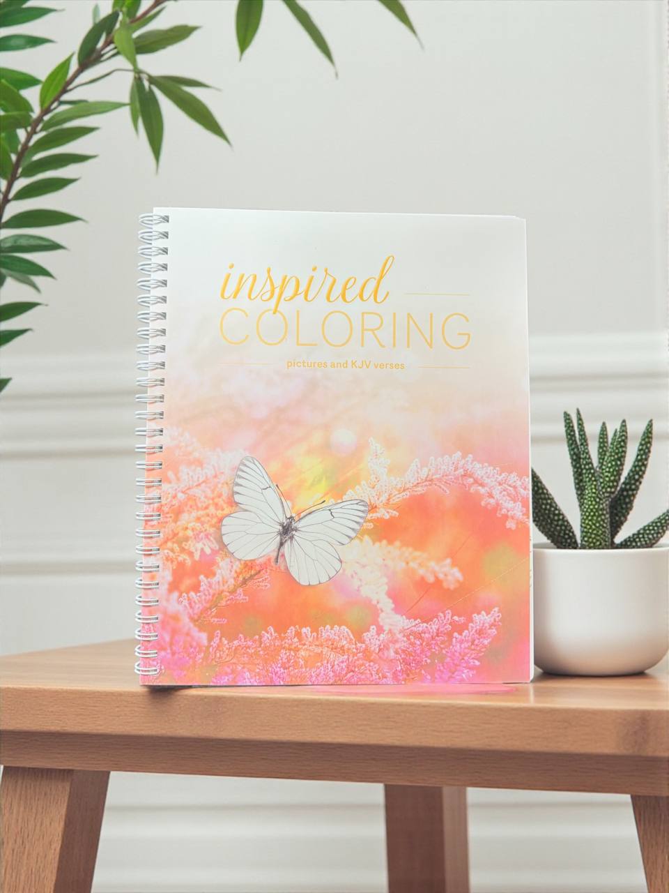 Bible Inspired Coloring Books