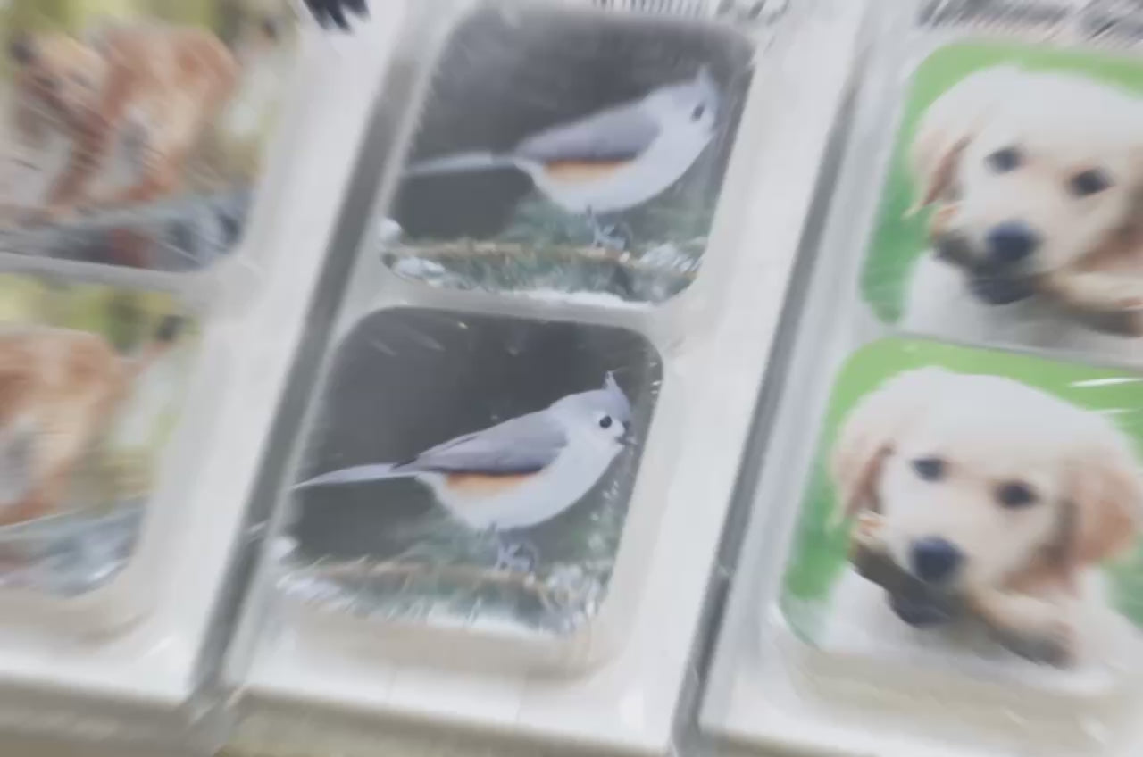 Memory Game